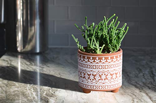 D'vine Dev 2-Pack Terracotta Pots, 4/6 in, Terracotta Bloom, 31-953-F-1 - style: Terracotta Bloom