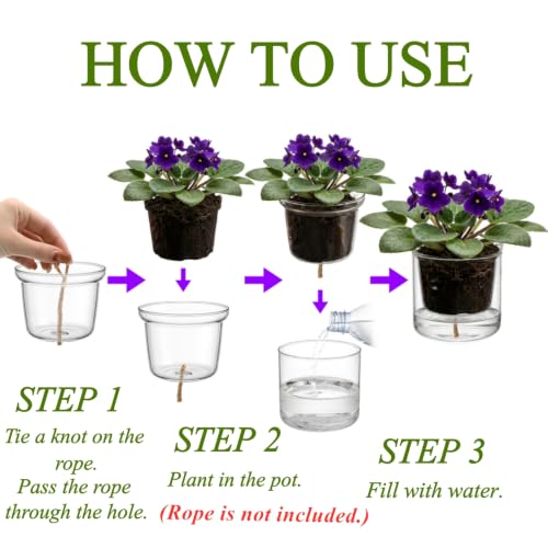 Tebery 2 Pcs Self Watering Pots for Indoor Plants, Clear Glass Plant Pots with Drainage Saucer, 3.75 Inch African Violet Planters for Houseplants Orchid Succulents, Ideal for Garden Home Decor