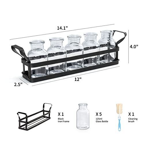 Mkono Propagation Stations, 5 Jars Desktop Glass Plant Terrarium with Stand - size: Large