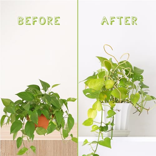 2Pcs Metal Leaf Shape Garden Trellis for Climbing Plant Indoor - color: A