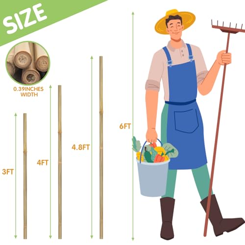 GAGINANG Natural Bamboo Garden Stakes, 4FT Trellis Plant Support 25Pcs - size: 4Ft,Pack of 25