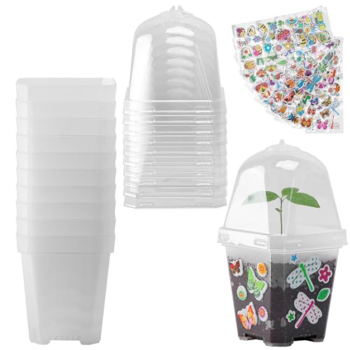 EBaokuup 10 Pack 3 Inch Clear Plant Nursery Pots with Humidity Domes - color: 10pcs-color, size: 3 Inch
