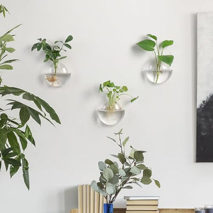 Wall Propagation Planter 6 Pack Glass Wall Planter Oblate Hanging Terrarium