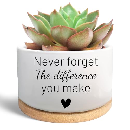 Succulent Plant Pot, Thank You Gifts for Coworker (Plants Not Included) - style: Never forget