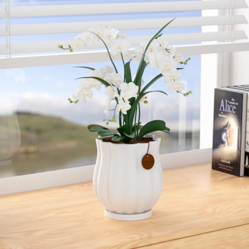 7.1" Matte White Ceramic Plant Pot with Saucer - color: Matte White, size: Large