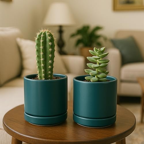 D'vine Dev 2-Pack Ceramic Pots with Saucers, Teal, 4.7 in, 94-V-B-9 - color: Teal, size: 4.7 Inch