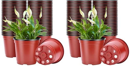 VIVOSUN 50 Pcs 6 Inch Plastic Plant Nursery Pots, Seed Starting Pot, Flower Plant Container for Seedlings, Cuttings, Transplanting (Pack of 2) - size: 6 inch (Pack of 2)