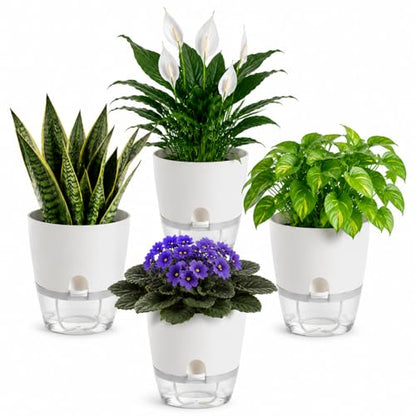 6 Inch Self Watering Planters 4 Pack Plastic Wicking Pots White - color: 6''-4pack-white