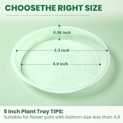 3 5 7 9 11 15 Inch Clear Plastic Plant Saucers for Indoors, 5 Pack Durable Plant Trays for Pots and Plant Water Catcher Tray with No Holes, Reusable Plastic Trays for Plants (5''-5Pack) - size: 5''-5Pack