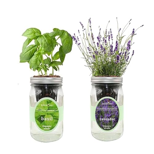 2-Pack Hydroponic Mason Jar Herb Garden Kit, Indoor Herb Garden Self-Watering Starter Kit (Basil,Lavender)