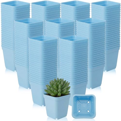 Yaomiao 200 Pack 3 Inch Blue Nursery Pot Square Flower Pots Plastic Plant Succulent Planter Seed Starting Pots with Drainage Holes for Garden Office Balcony Decor Indoor Outdoor Plant Seedling - color: Blue