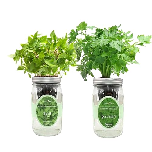 2-Pack Hydroponic Mason Jar Herb Garden Kit, Indoor Herb Garden Self-Watering Starter Kit (Thai Basil,Parsley)
