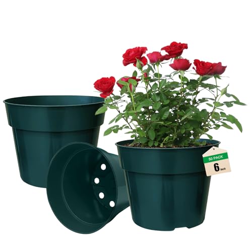 RooTrimmer 50 Pack 6 Inch Nursery Pots, Planting Grow Plastic Flower Pots, Thick Planters with Drainage Holes for Outdoor/Indoor Plants Succulent Herb (Green) - color: Green, size: 6 Inch 50 Pack