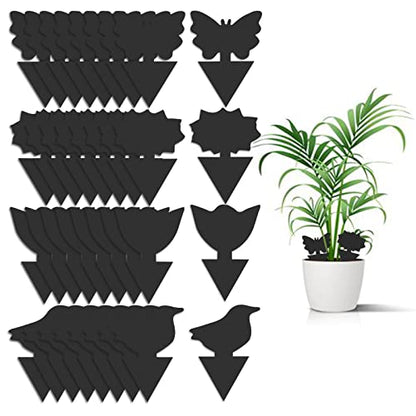 36 Pack Fungus Gnat Traps for House Plants, Sticky Traps for Indoor Outdoor Use to Get Rid of Whitefly Mosquitoes Fungus Gnats Thrips Leafminer Flying Insects Protect Your Plants (Black)