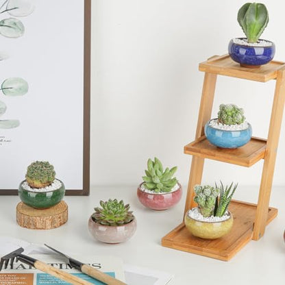T4U Mini Succulent Pots, Small Shallow Ceramic Pots, Retro Gift Set of 6 - size: Small