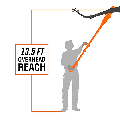 WEN 4021 8-Inch 6.5A Electric Telescoping, Pole, Saw - style: Corded 8 in. Pole Saw w/ 13.5 ft. Reach