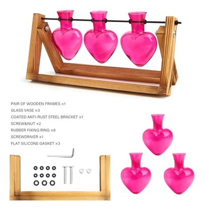 XXXFLOWER Plant Terrarium Propagation Stations 3 Heart Shaped Vases - size: 3 Heart Vase