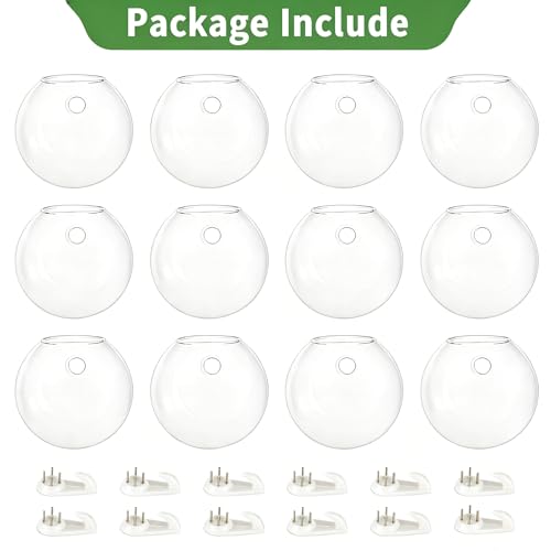NUPTIO Glass Wall Hanging Planters: Clear Terrarium for Living Room, 12 Pcs - size: 12 Pcs