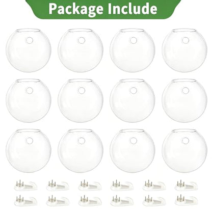 NUPTIO Glass Wall Hanging Planters: Clear Terrarium for Living Room, 12 Pcs - size: 12 Pcs