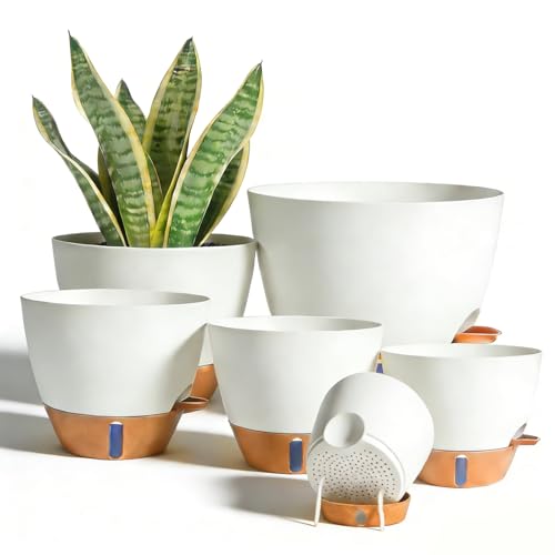7/6.5/6/5.5/5 Inch Self Watering Pots, Plastic Flower Pots with Multi Mesh Drainage Holes and Deep Reservoir for Indoor Outdoor Garden Plants and Flowers (White, 5/5.5/6/6.5/7/8) - color: White, size: 5/5.5/6/6.5/7/8