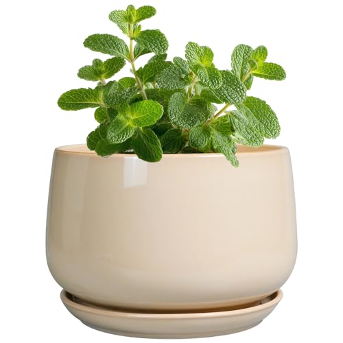 G EPGardening 4 inch Plant Pots - Ceramic Planter with Drainage Hole & Saucer, Small Plant Pots for Indoor Outdoor, Round Succulent Pot, Modern Decorative Flower Pot, Desk Decor, Garden Gifts, Beige - color: Beige, size: 4 Inch