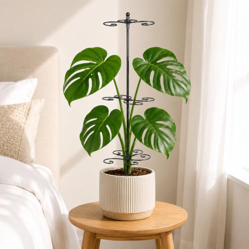 GOOXIM Monstera Support 24" Heavy Duty Black Plant Stakes for Indoor Growth - color: Black