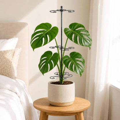 GOOXIM Monstera Support 24" Heavy Duty Black Plant Stakes for Indoor Growth - color: Black