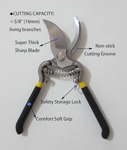 Forged Bypass Hand Clippers Pruner, With 5/8 Inch Cutting Capacity, Ergonomic handle with Soft Grip, Pruning Shear 8-Inch (Bypass) - style: Bypass