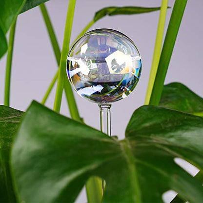 Tomorotec 2Pcs Rainbow Glass Plant Watering Globes, Self Watering Spikes - color: Iridescent 2-Pack