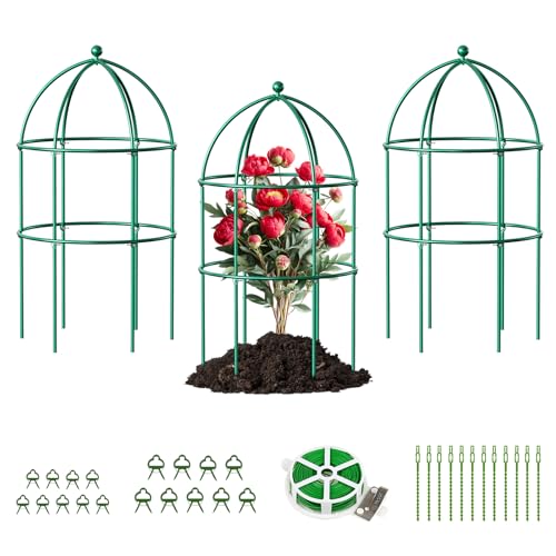 DoCred 3 Pack Peony Cage, 15.7" x 31.5" Metal Plant Support Garden Trellis - size: 31.5"H x 15.7"W/3PC