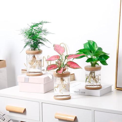 Desktop Plant Propagation Station, Hydroponic Glass Vase Water Plant Jars, Modern Desktop Gardening Decor for Home Office