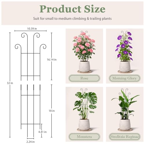 2 Set 32'' Taller Plant Trellis for Climbing Potted Plants Indoor & Outdoor