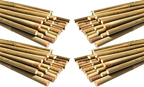 Natural Bamboo Poles, Eco-Friendly Plant Support Garden Stakes 4ft Long, Diameter of 3/8Inch (100-Count) - size: 4 ft, 3/8" Diameter (100-Count)