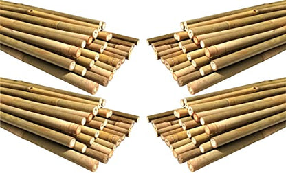 Natural Bamboo Poles, Eco-Friendly Plant Support Garden Stakes 4ft Long, Diameter of 3/8Inch (100-Count) - size: 4 ft, 3/8" Diameter (100-Count)