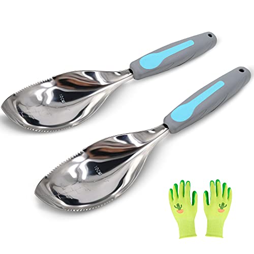 Jardineer 2 Pack Soil Scoops, Stainless Steel Garden Trowel Set - color: blue