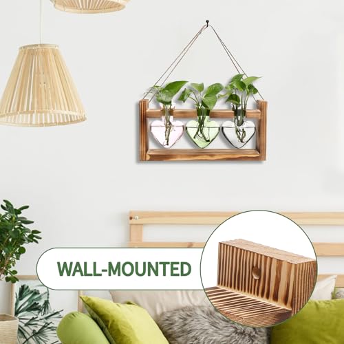 Plant Terrarium Propagation Stations Hydroponics - color: Color 2