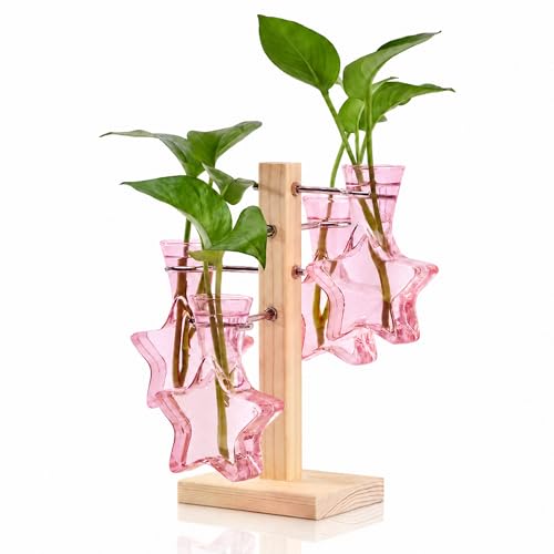 Nacome Plant Terrarium Propagation Stations: Pink Vase with Wooden Stand - color: Pink