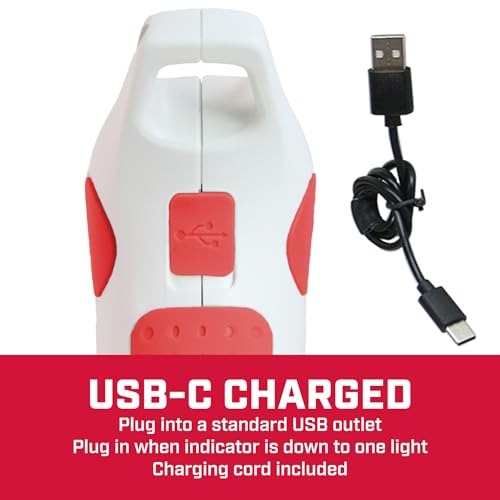 CHAPIN 75004 1-Liter USB-C Battery Powered Sprayer for Plants & Garden