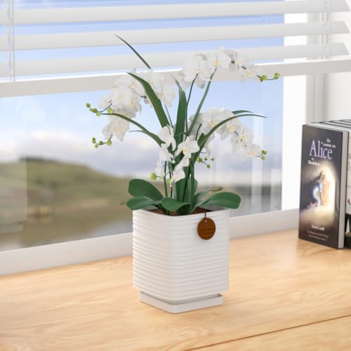 7.1 Inch White Ceramic Planter with Drainage and Saucer - color: Matte White, size: Large