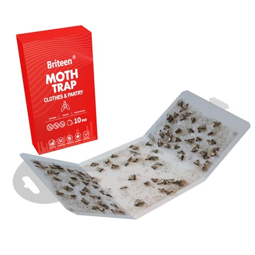 Pantry Moth Traps 10-Pack Safe and Effective for Food and Clothing- Glue Traps with Pheromones for Wool Closet Carpet Food and Cupboard K10 - color: Red