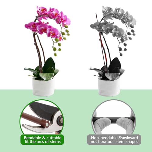 Plant Support Stakes with 100 Plant Clips, 65ft Plant Sticks, 800 Ties Brow - color: Brown, size: 65ft
