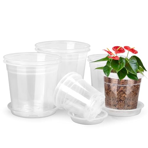 RAOOKIF 8/7/6/5/4 Inch Clear Nursery Pots with Drainage and Saucers, 10 Pack Clear Pots for Plants, Nursery Pots for Flowers, Succulents Outdoor Indoor