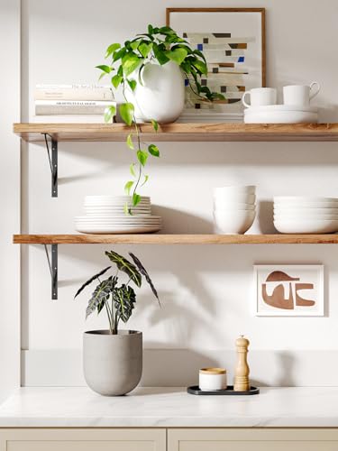LE TAUCI 6 Inch Ceramic Plant Pot, Small Indoor Planter, Neutral Gray - color: Neutral Gray, size: 6”