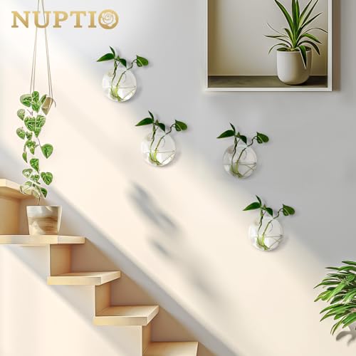 NUPTIO Glass Wall Hanging Planters: Propagation Station for Plants, 4 Pcs - size: 4 Pcs