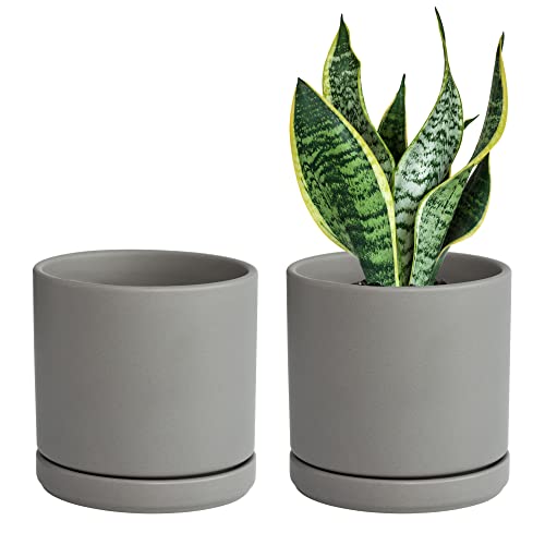 D'vine Dev 2-Pack Ceramic Pots with Saucers, Grey, 6 in, 94-V-C-3 - color: Gray, size: 6 Inch