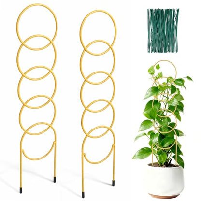 17.5 Inch Plant Trellis Indoor for Climbing Plants, Metal Small Trellis for Potted Plants, Plant Stakes for Indoor Plants, Plant Support for Hoya Flower Vine, Gold 2PCS