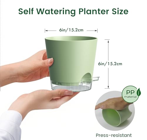 Meowell 6 inch Self Watering Pots for Indoor Outdoor Plants, 3 Pack Flower Plant Pots with Drainage Holes and Clear Reservoirs, Visible Water Level, Plastic Planters with Wicking Rope, Green - color: Green, size: 6in 3pcs