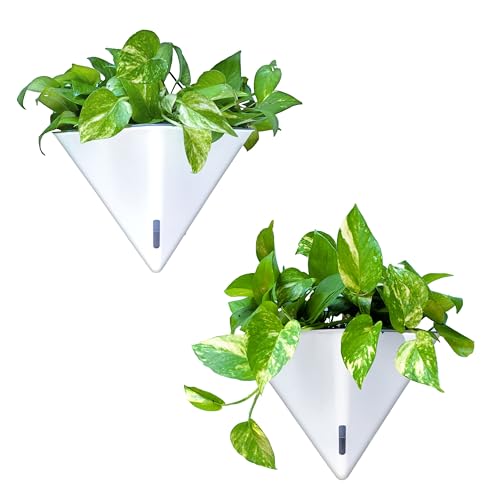 LaLaGreen Wall Planters for Indoor Plants (12in, 2 Pack) White Planter - color: White X 2 Pack
