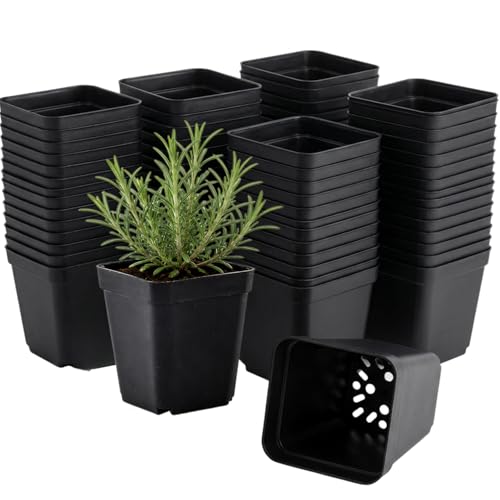 100 Packs Square Nursery Pots for Plants 2.8 Inch Seedling Pots - size: 2.8 Inch