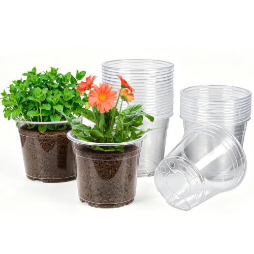 JERIA 30 Pack 6 Inch Clear Nursery Pots with Drainage Holes, Clear Plant Pot for Planting, Transparent Plastic Plant Pots,Durable Seed Starting Pot for Succulents - size: 6Inch-30Pack
